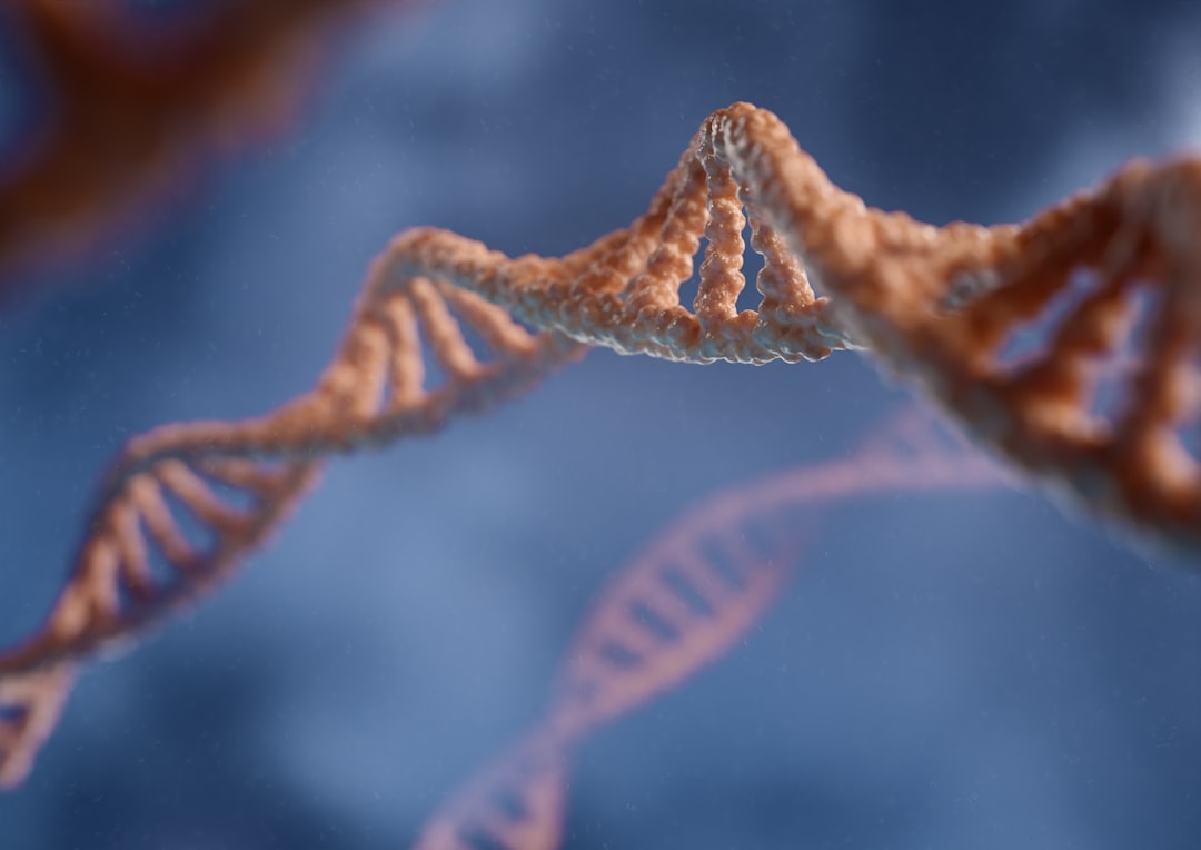 The Spirit Cave Connection: DNA Breaks the Deadlock (Image Credits: Unsplash)