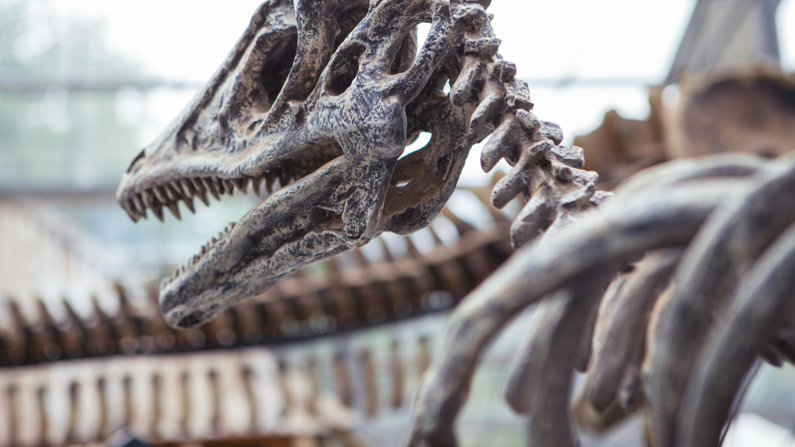 Dinosaur dental fossils reveal bird-like parental care bonds