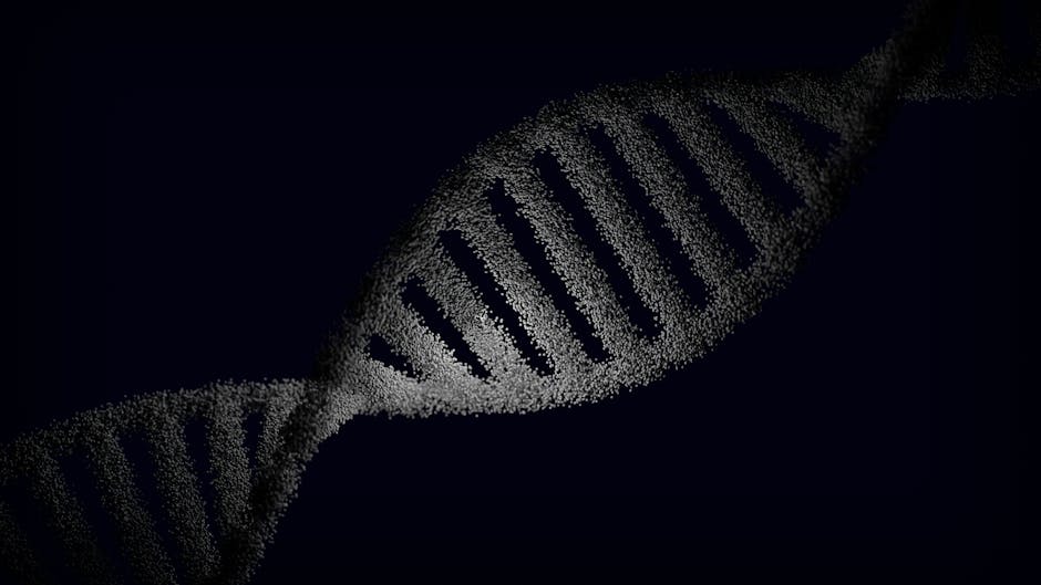DNA identifies four more crew members of doomed Franklin expedition