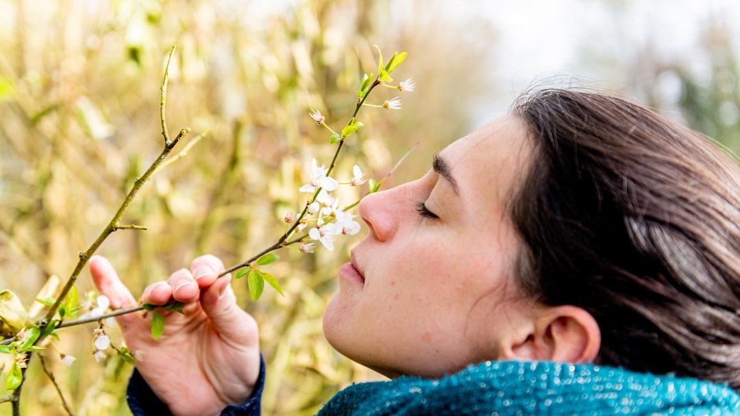 How climate change makes your allergies worse