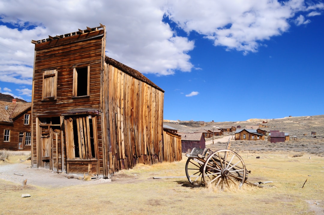 What These Places Still Tell Us (Image Credits: Unsplash)