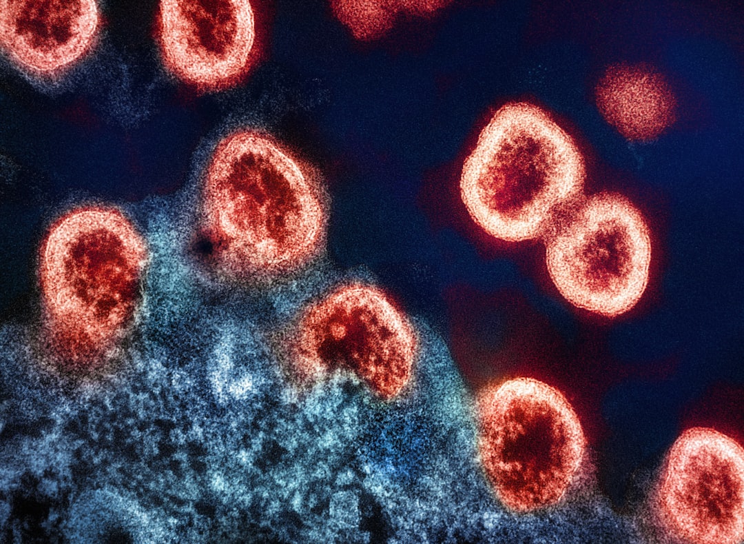 How the Immune System Becomes a Bridge to the Brain (Image Credits: Unsplash)