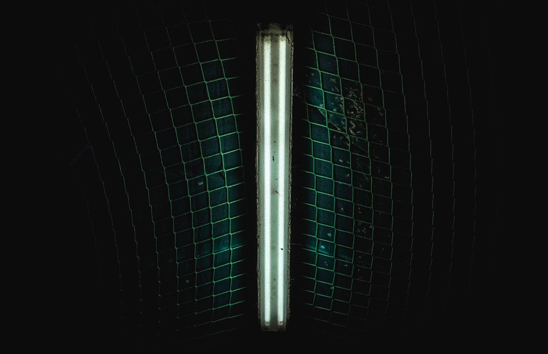 The Dead-End Passage: A Hidden Resonance Tube (Image Credits: Unsplash)