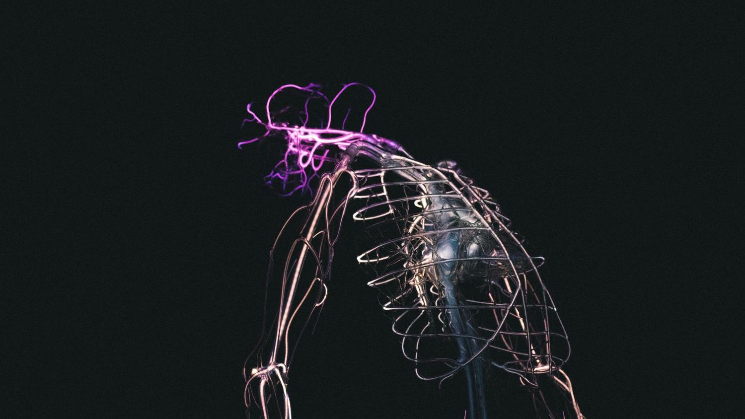 Stanford scientists just reversed memory loss in old mice by changing their gut bacteria, and the same vagus nerve devices it points to are already FDA-cleared for other conditions