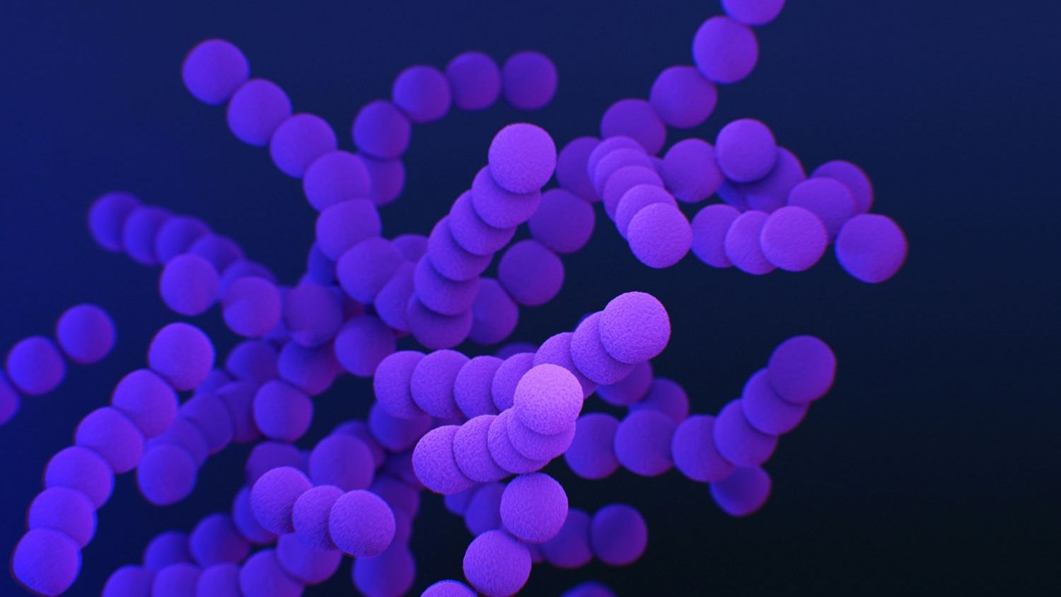 Scientists reversed liver aging with young gut bacteria in stunning study