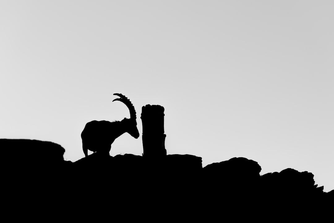 The Emotional Logic of Capricorn's Shadow Behavior (Image Credits: Unsplash)