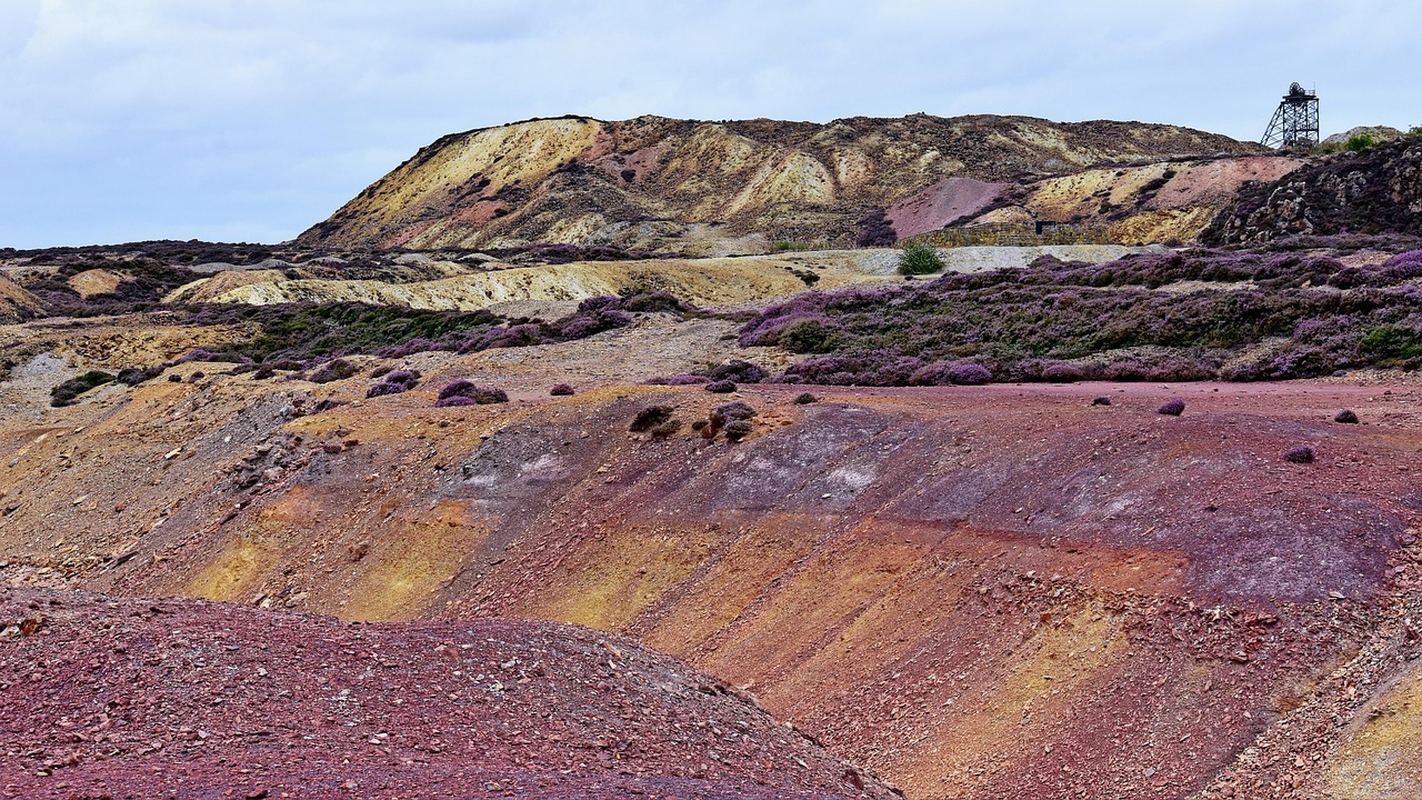 Dr. Copper Gets a New Diagnosis (Image Credits: Pixabay)