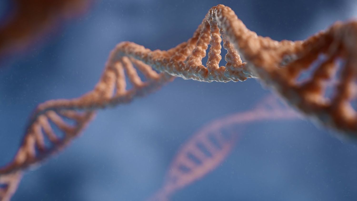 7 New Aging-Cell Findings Scientists Say Could Change How We Think About “Biological Age”