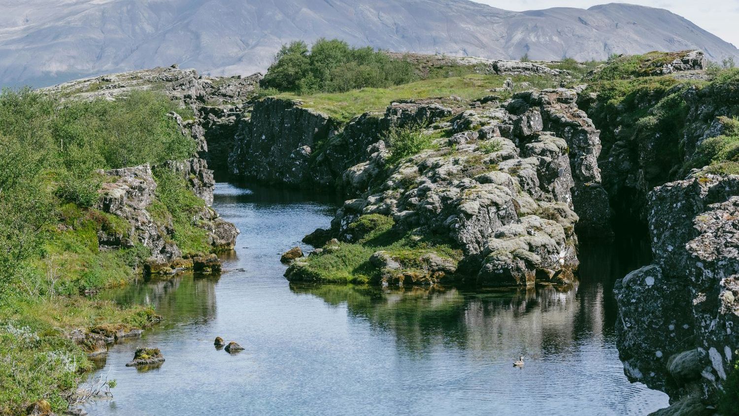 New tectonic plate boundary could be forming in Zambia, scientists say