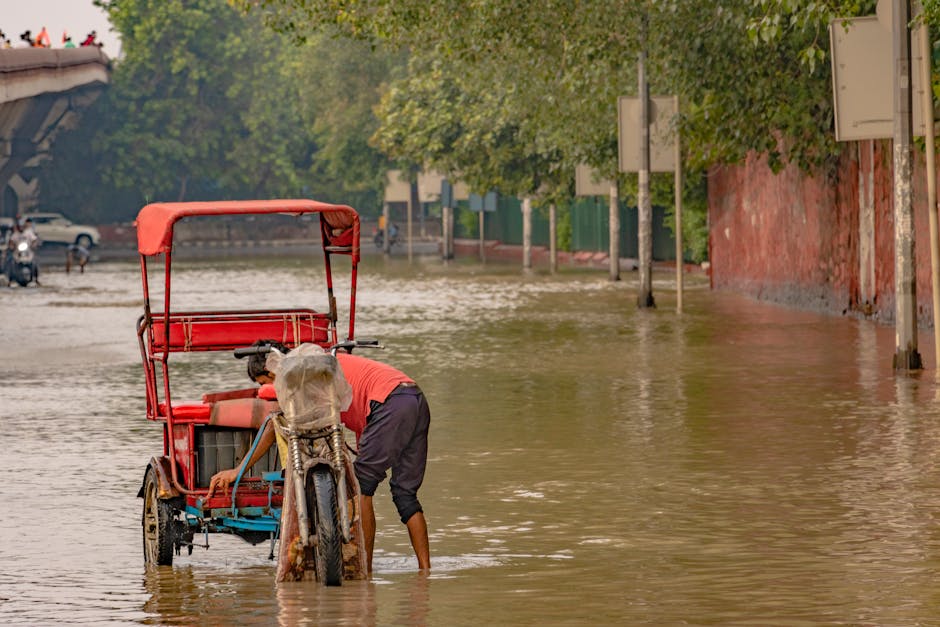 Delhi's Climate: An Unlikely Accomplice (Image Credits: Pexels)