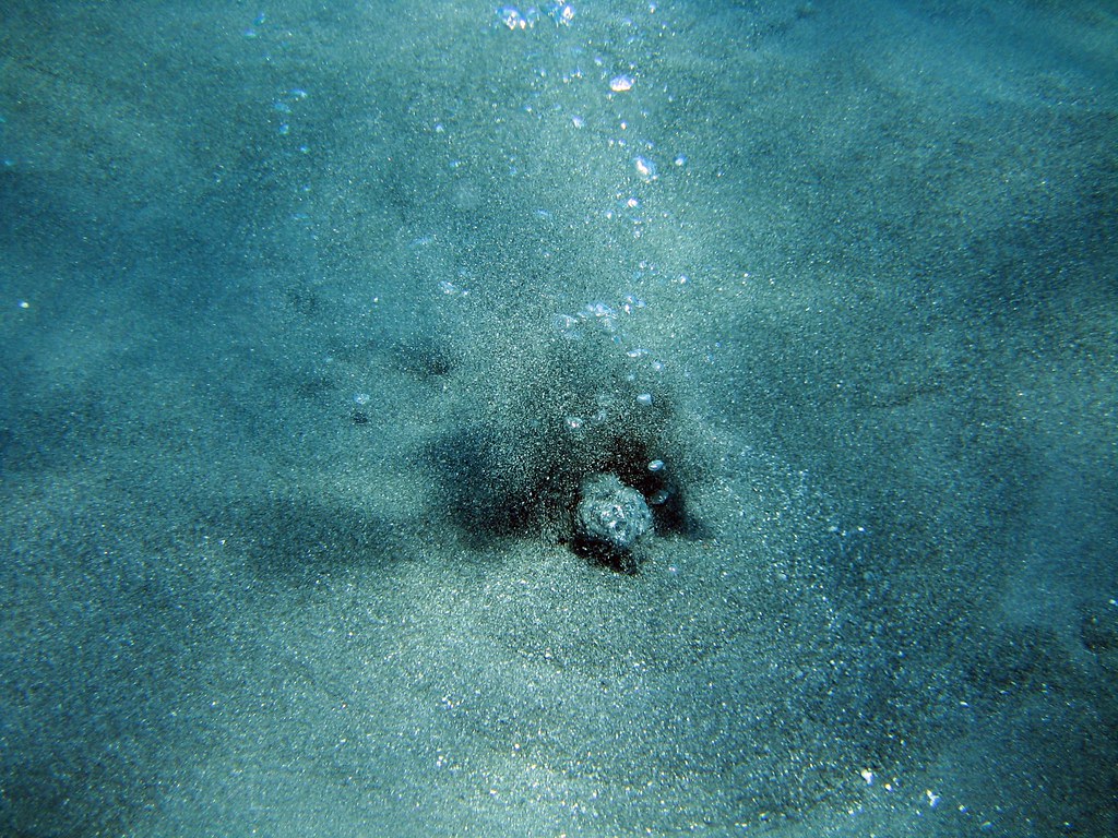 A Hidden World Beneath the Already Hidden World (robanhk, Flickr, CC BY-SA 2.0)