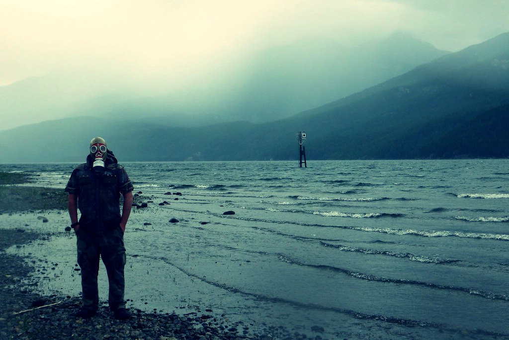 The Fictional Book That Felt Too Real (Image Credits: Flickr)