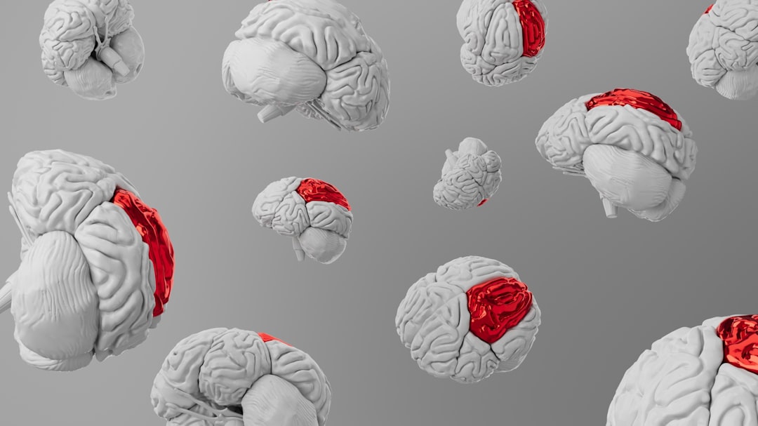 3. The Blood-Brain Barrier: Your Brain's Selective Checkpoint (Image Credits: Unsplash)