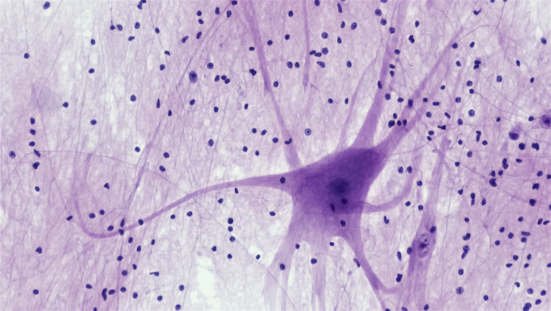 6. What Higher Brain Magnesium Actually Does to Your Neurons (Image Credits: Unsplash)