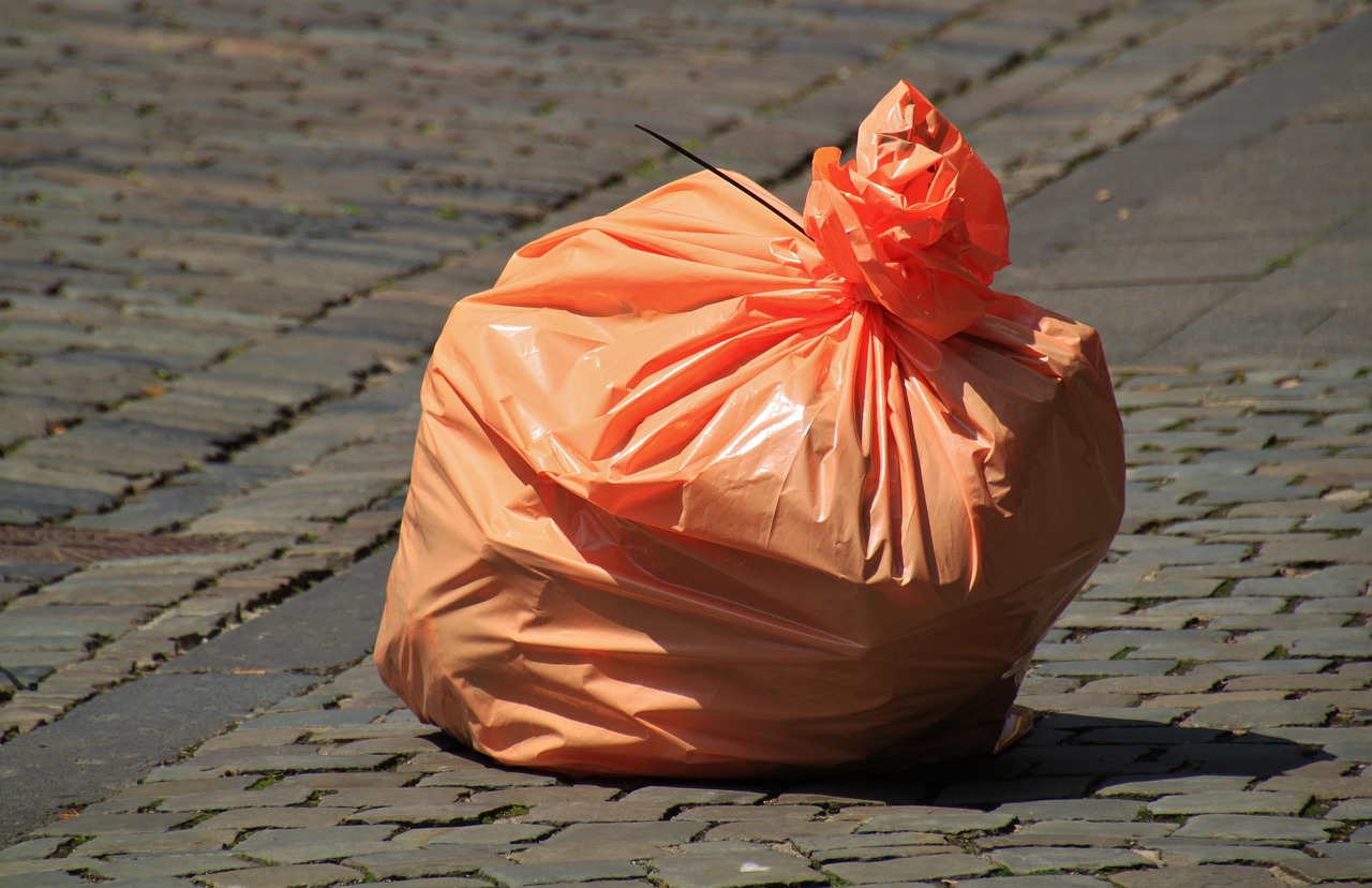 The EU's PPWR: Europe's Packaging Overhaul Is Underway (Image Credits: Pixabay)