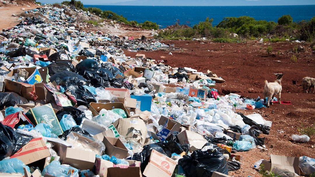 The Plastic Packaging Wars: Why Your Daily Toiletries Are About to Become 40% More Expensive