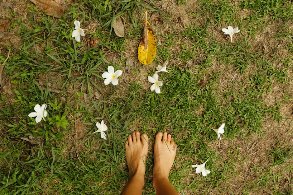 Grounding and Blood: The Cardiovascular Connection (Image Credits: Pexels)