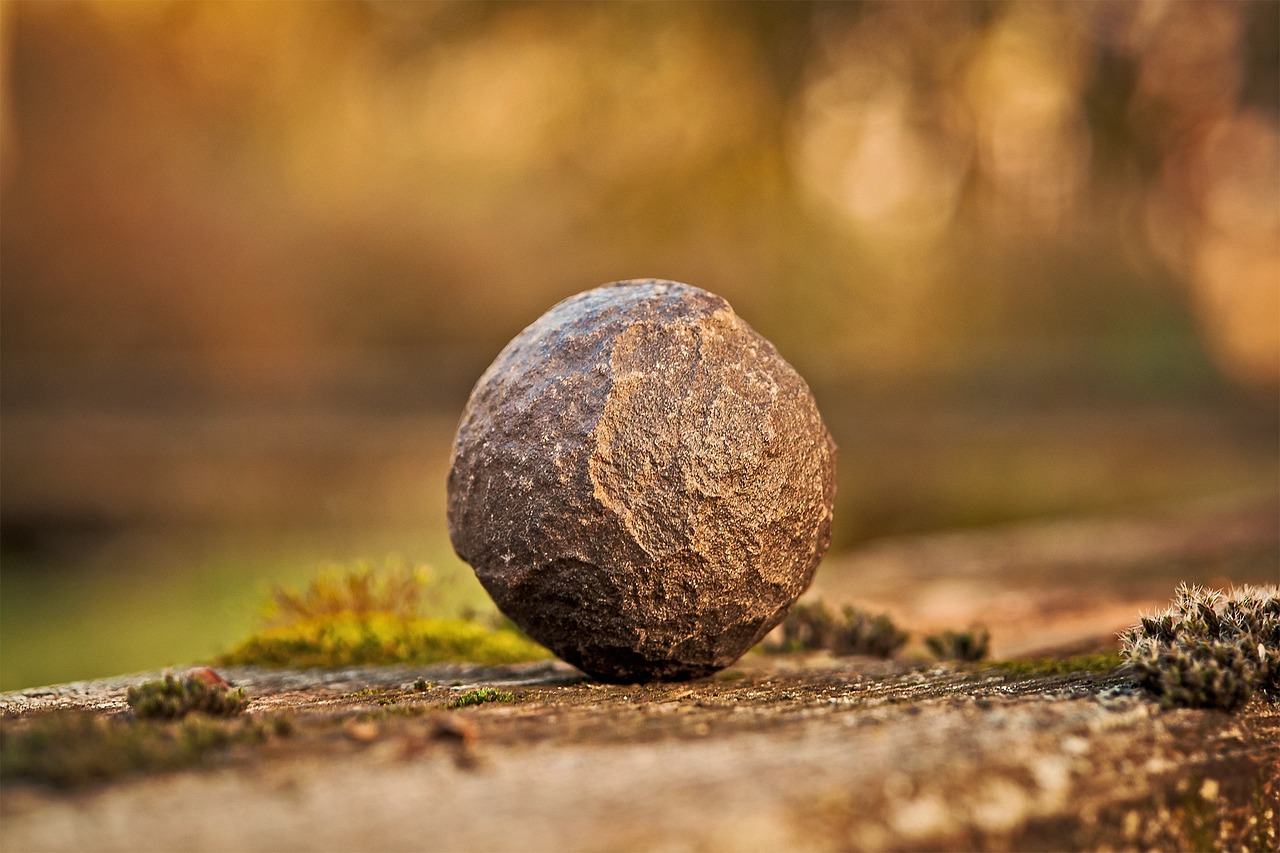 A Practical Comparison Worth Making (Image Credits: Pixabay)