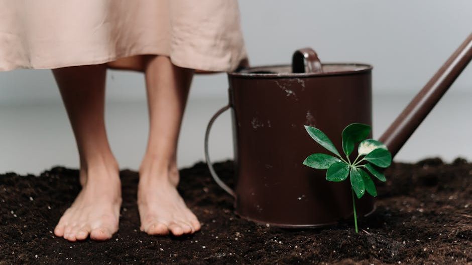 Nootropics vs. Nature: Why 10 Minutes of Grounding Is More Effective for Inflammation Than Most Pills