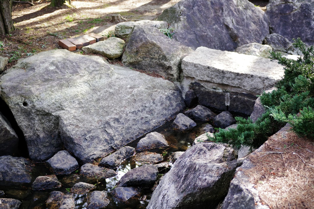 Where the "Grey Rock" Idea Came From (Image Credits: Unsplash)