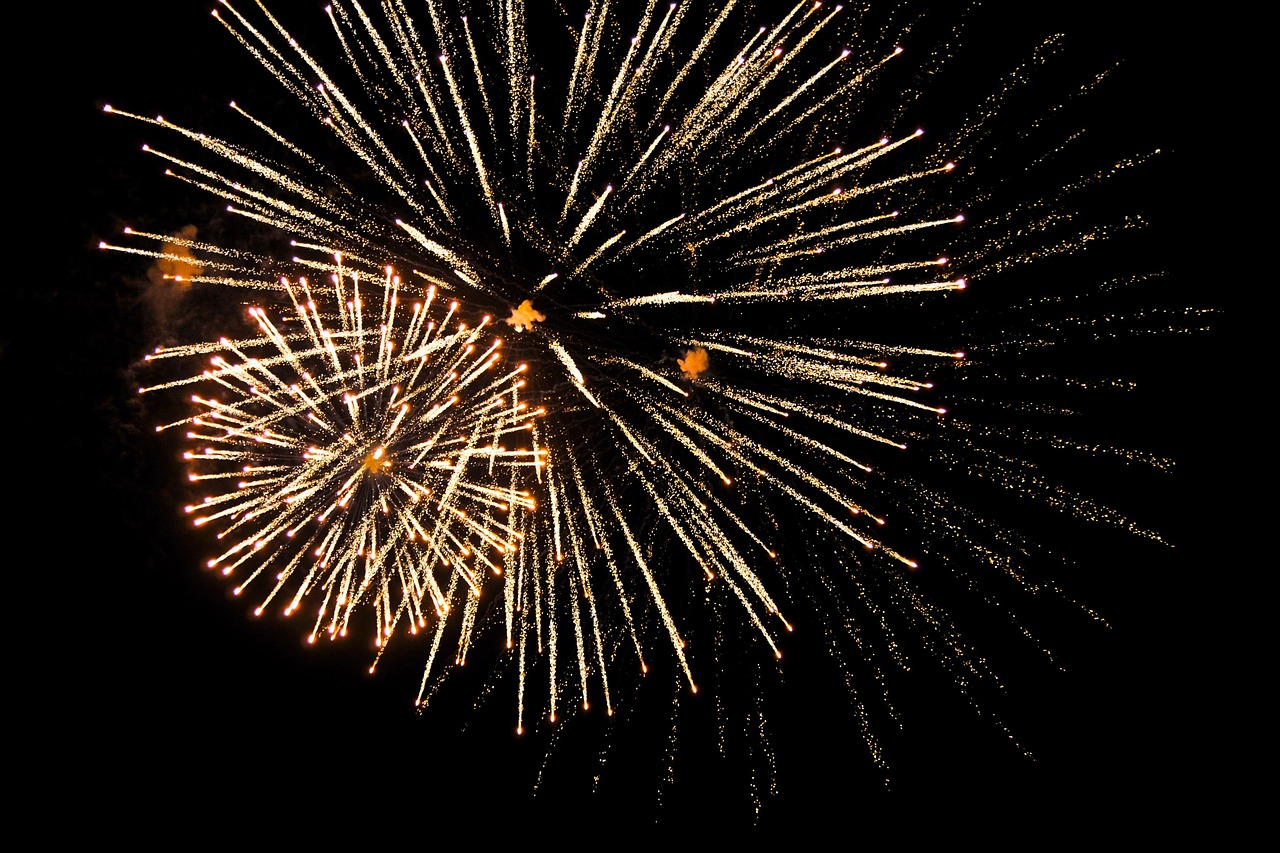 The Extinction Burst: When Things Get Worse Before They Get Better (Image Credits: Pixabay)