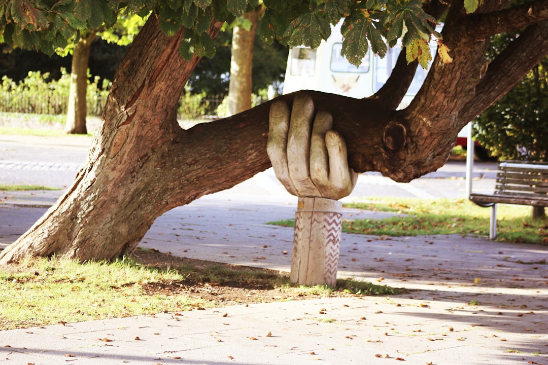 Protecting Your Wellbeing While Grey Rocking (Image Credits: Unsplash)