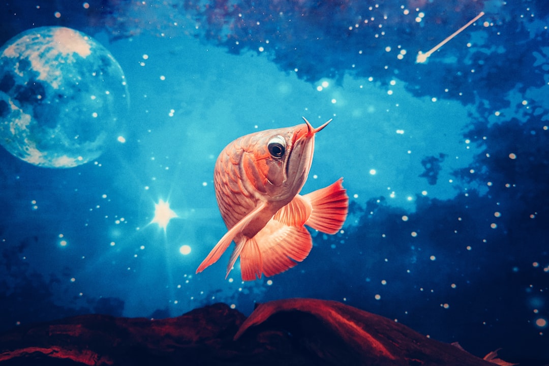 What the North Node in Pisces Means for Income Right Now (Image Credits: Unsplash)