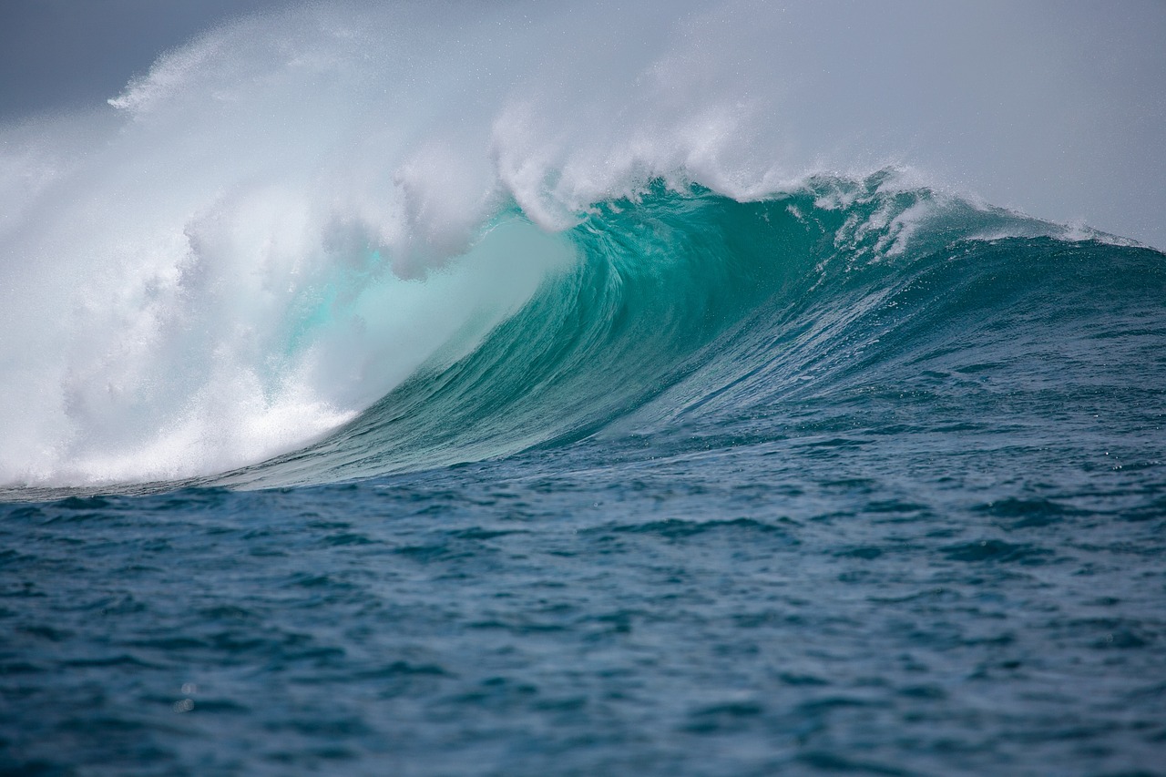 Alpha Waves and Peak Concentration: What Research Shows (Image Credits: Pixabay)