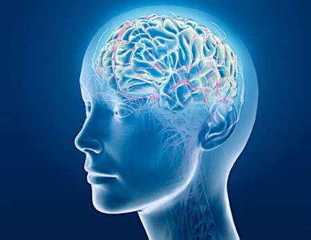 Alpha Entrainment and Anxiety Reduction (digitalbob8, Flickr, CC BY 2.0)