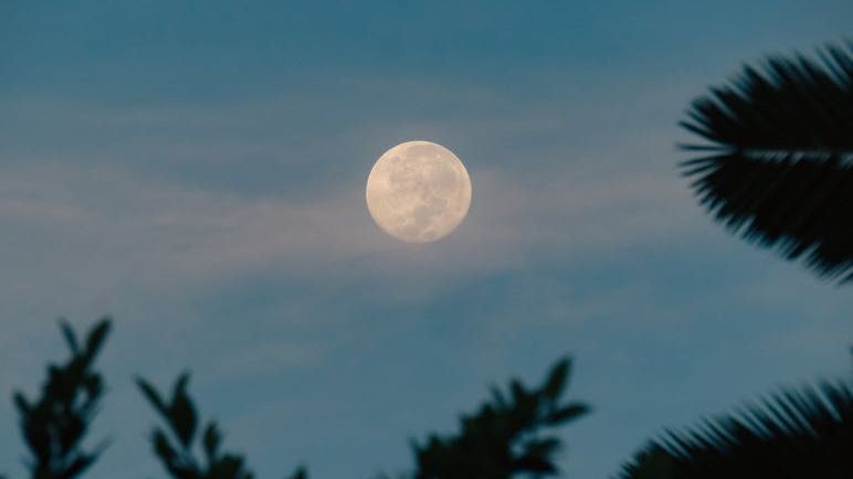 May’s Blue Moon—A Sagittarius Full Moon—Double-Dog Dares You to Take Risks