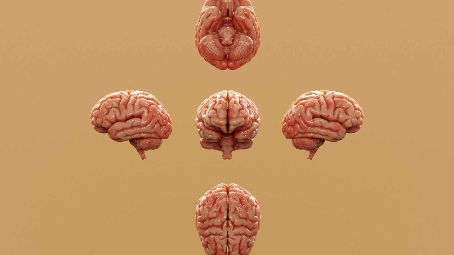 Why Your Brain Struggles So Much To Multitask (M)