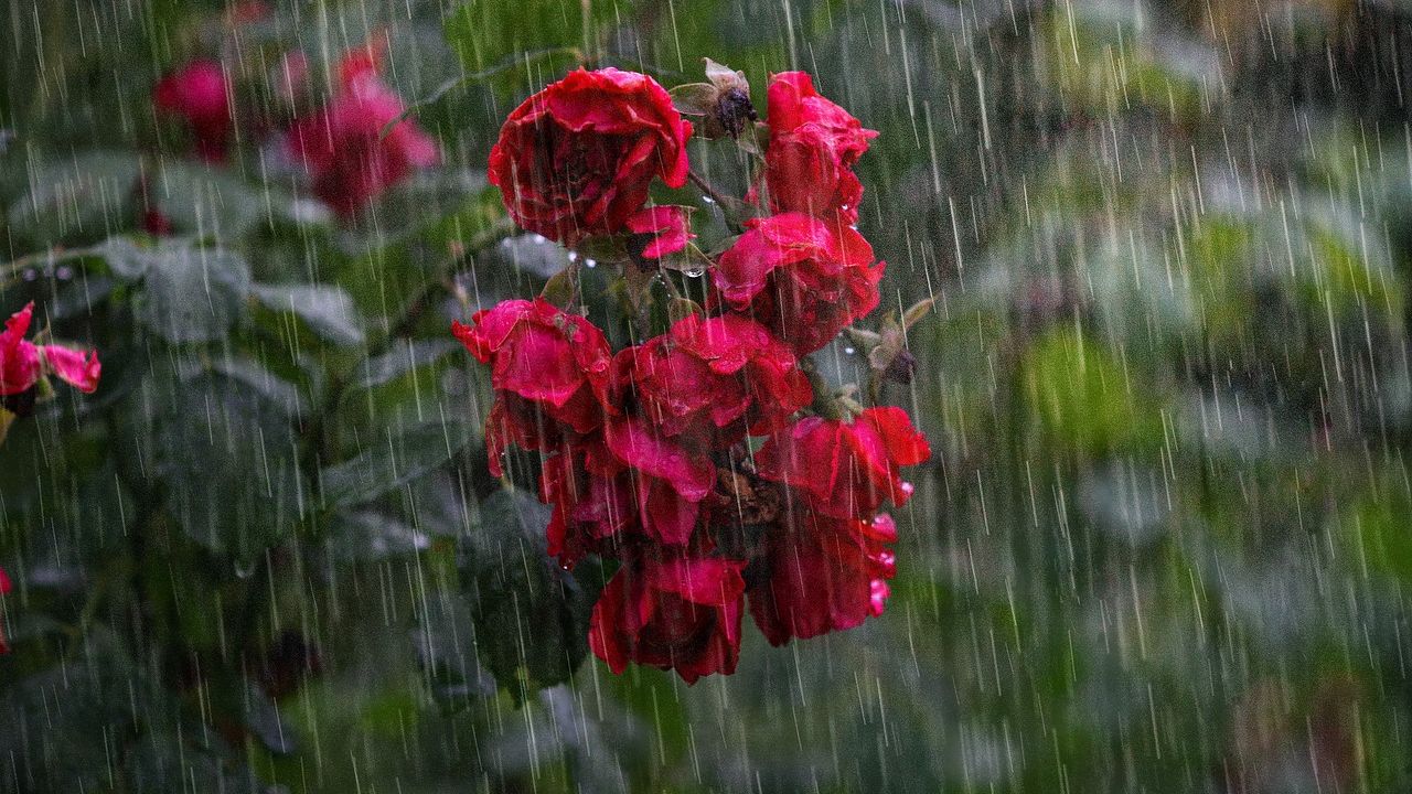 It's Raining Stardust. It Has Been for Thousands of Years.