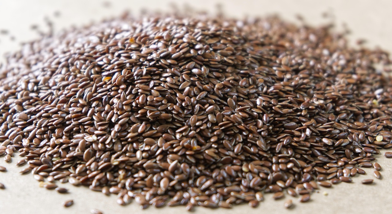 Omega-3s and the LPC Mechanism That Directs Myelin Growth (Image Credits: Pixabay)