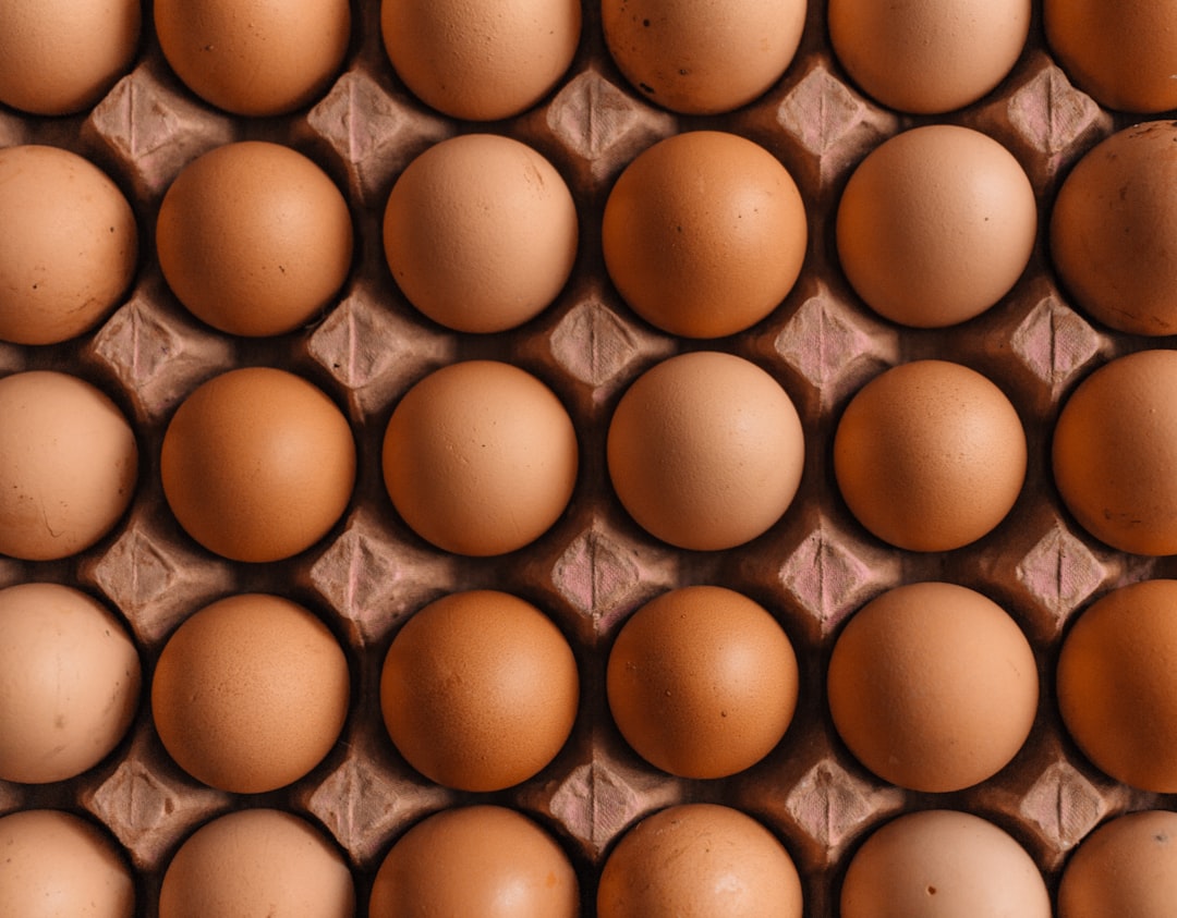 The Egg-Alzheimer's Connection and What It Reveals About Myelin (Image Credits: Unsplash)