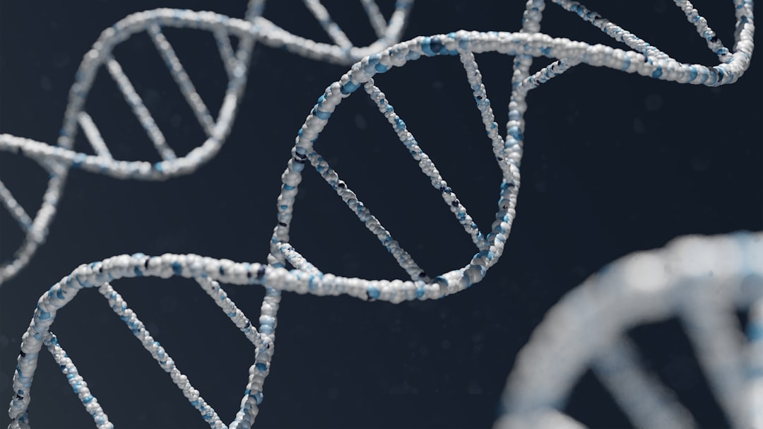 Calorie Quality, Aging, and Myelin Gene Expression (Image Credits: Unsplash)