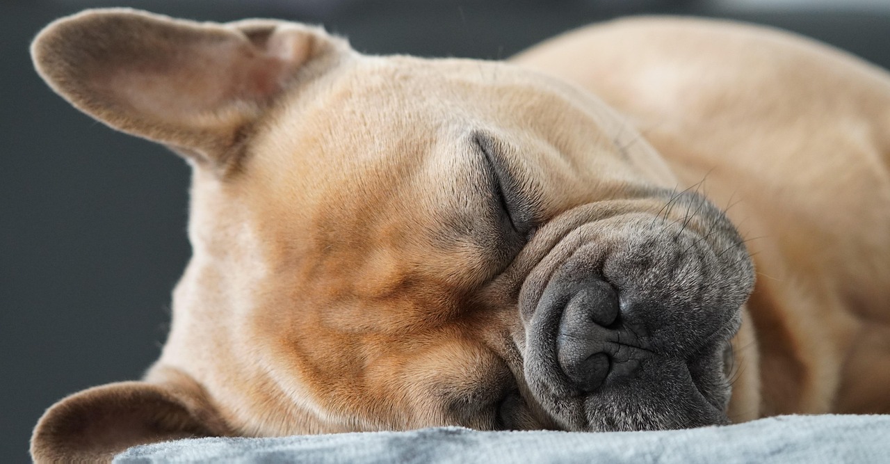 The Lateral Position: What the Research Shows (Image Credits: Pixabay)
