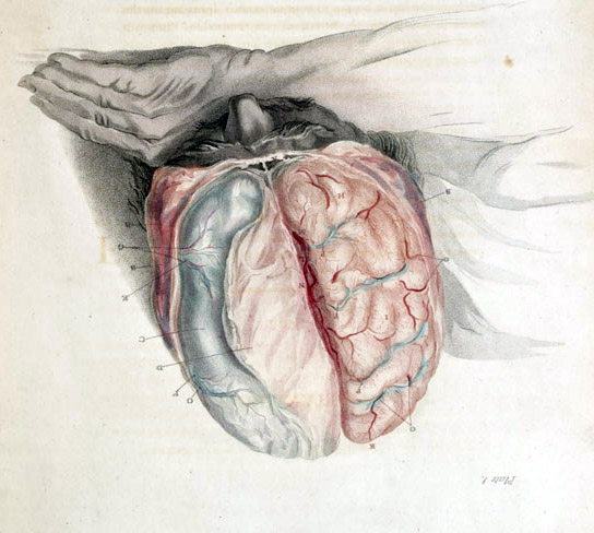 The Aging Brain and Declining Glymphatic Efficiency (Historical Medical Books at the Claude Moore Health Sciences Library, University of Virginia, Public domain)