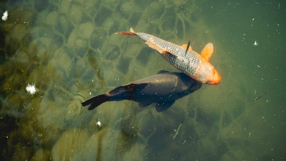 Saturn's Debt: Why These 3 Signs Are Receiving a "Cosmic Refund" for Past Struggles