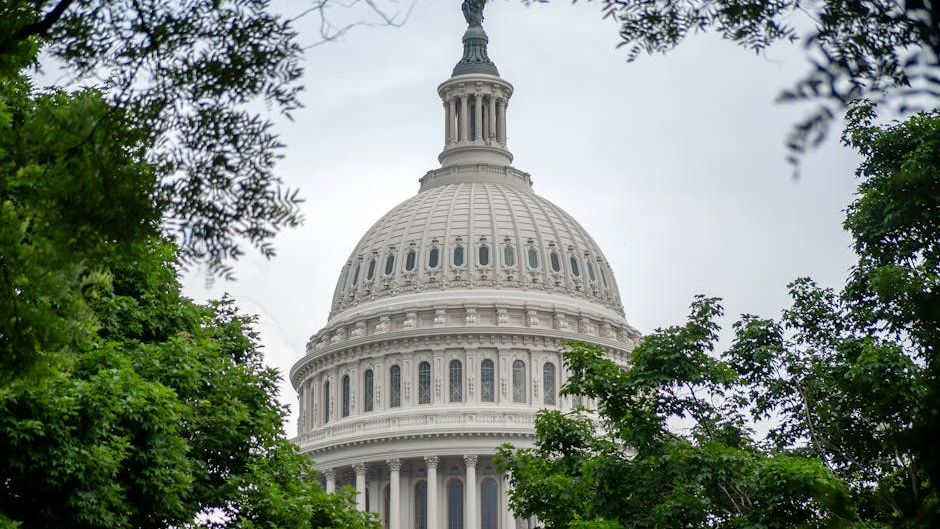 Tech CEOs invited to US Capitol to testify about children’s online safety