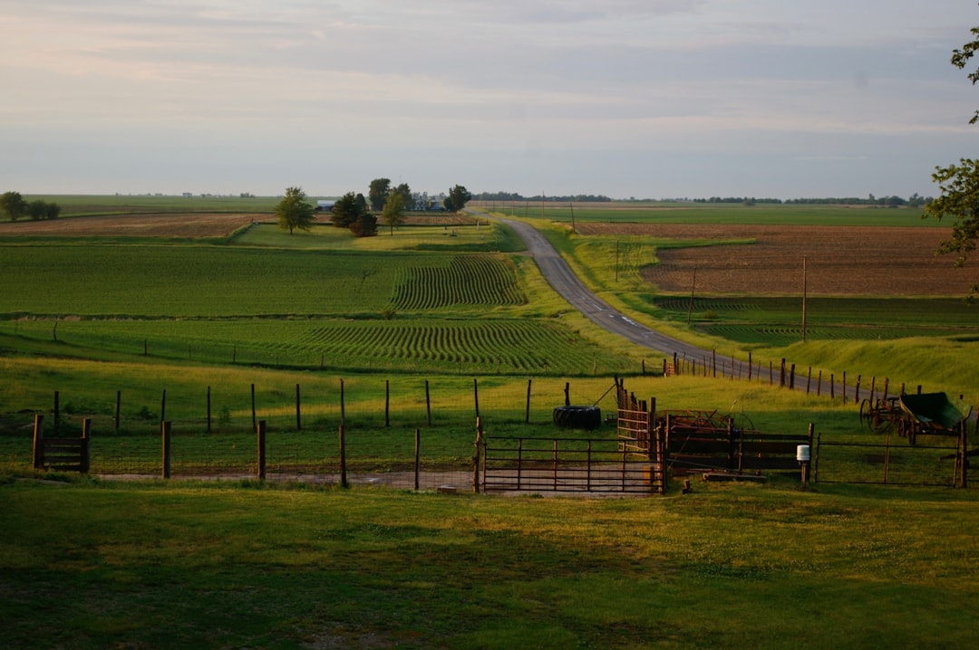 Bill Gates and the Nebraska Land Play (Image Credits: Unsplash)