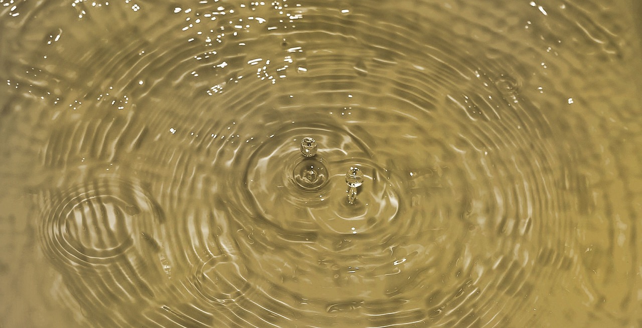 What Scarcity Means for the Future (Image Credits: Pixabay)