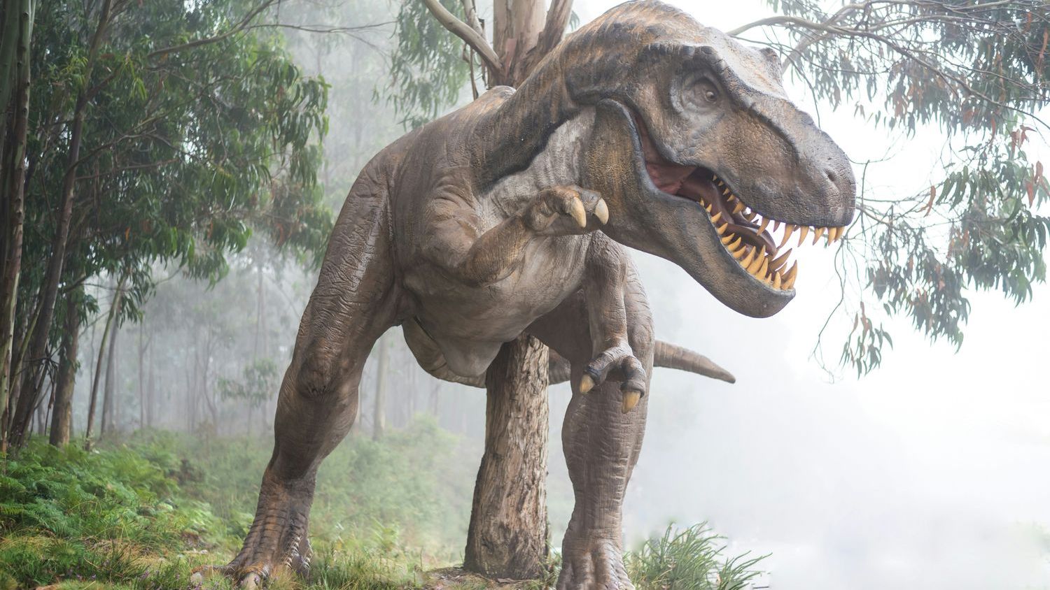 Meet “The Last Titan,” Southeast Asia’s Most Massive Dinosaur
