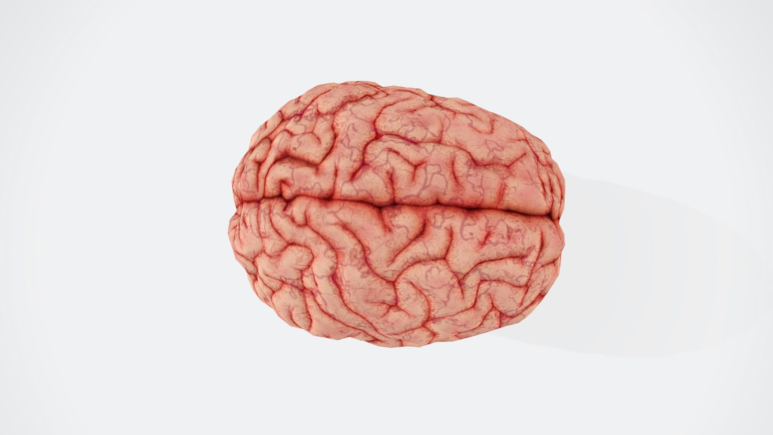 Why aren't brain transplants possible?