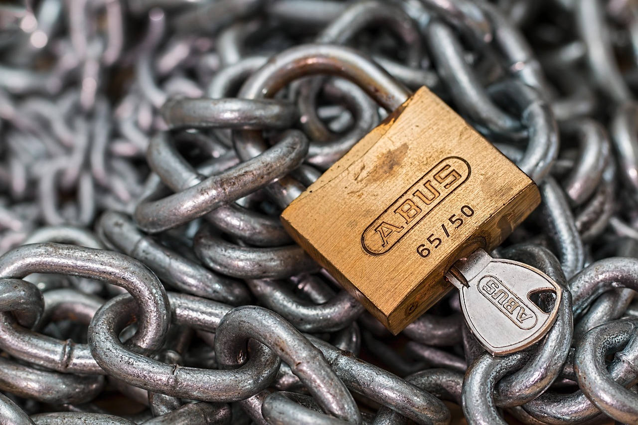 CVE-2024-7344: The Vulnerability That Shook Secure Boot (Image Credits: Pixabay)