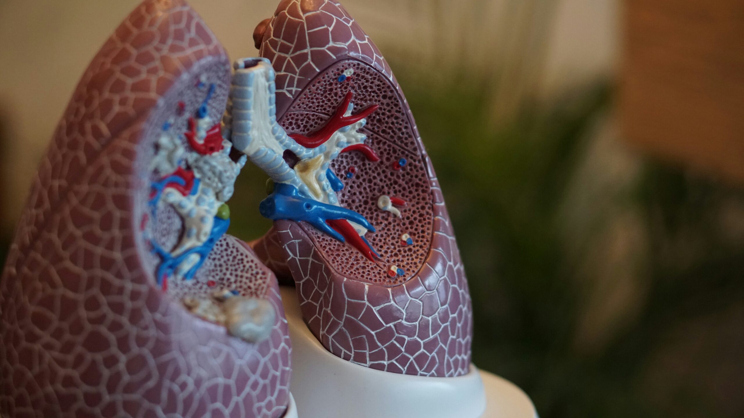 A single human exhale contains roughly 25 sextillion molecules, and the air on Earth is mixed thoroughly enough that statistically, every breath you take contains at least one molecule that was exhaled by Julius Caesar, by Cleopatra, and by every human who has ever lived