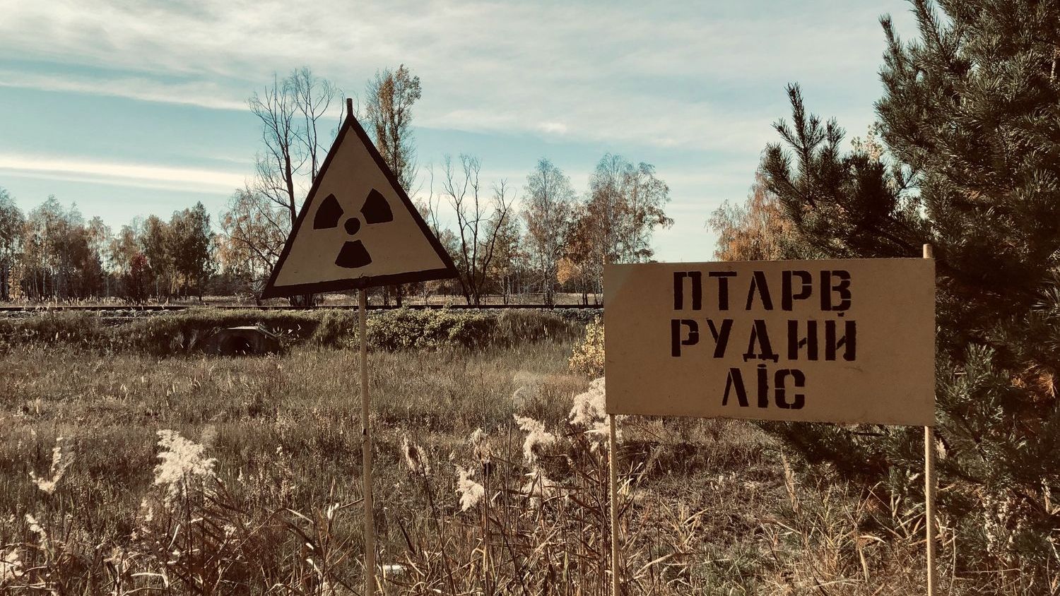 The Chernobyl exclusion zone is now one of the largest wildlife sanctuaries in Europe, revealing a grim paradox: removing humans from the landscape did far more for the animals than a nuclear disaster did to harm them