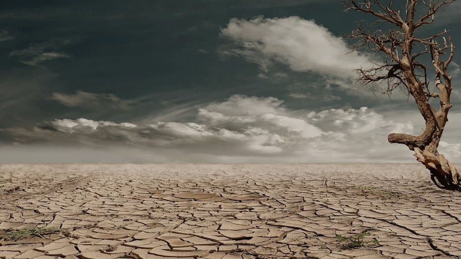 Seasonal patterns that farmers trusted for generations have suddenly turned unpredictable