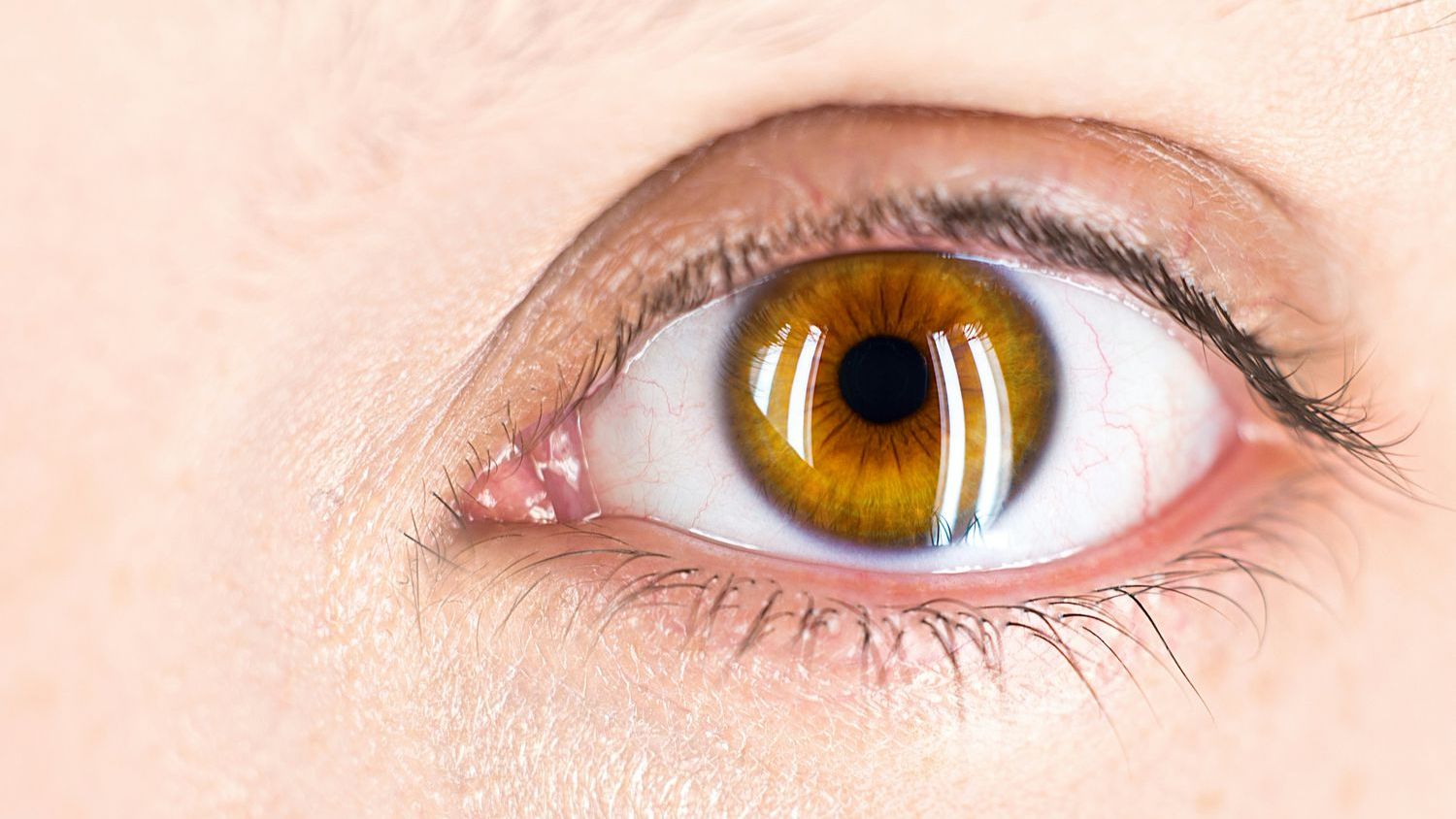 The human eye has a small blind spot where the optic nerve connects to the retina, and the only reason you don’t constantly see a hole in your visual field is that your brain is filling it in with educated guesses — meaning every moment of your visual experience is partly fabrication, and your conscious mind is the last to be informed.