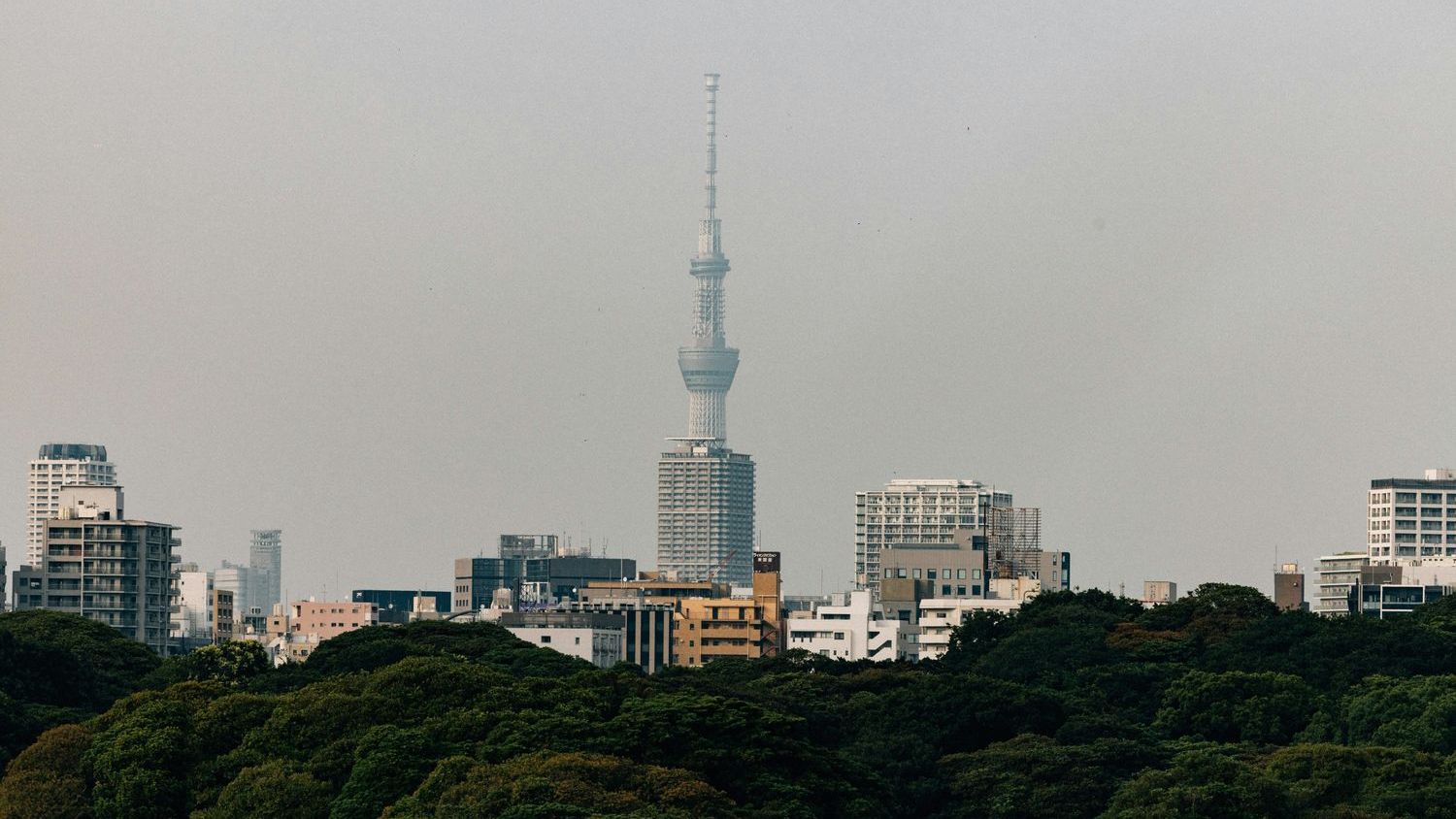 Japan sits on the intersection of four tectonic plates and experiences roughly 1,500 earthquakes a year, which is why the country’s building codes are the strictest on Earth — and why the Tokyo Skytree, the second-tallest structure in the world, is designed to sway rather than resist