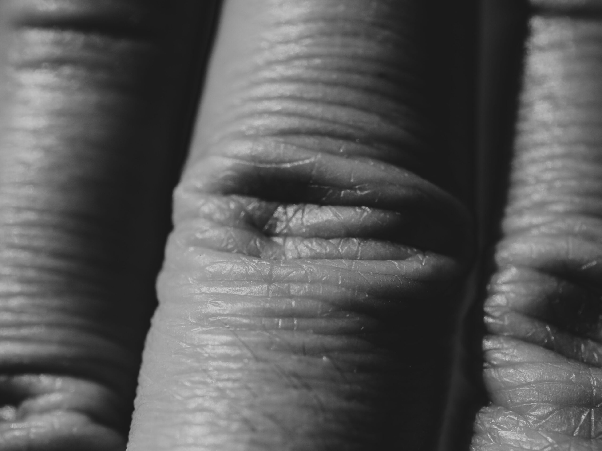 Image credits: Pexels